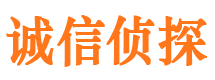 宁陵侦探公司